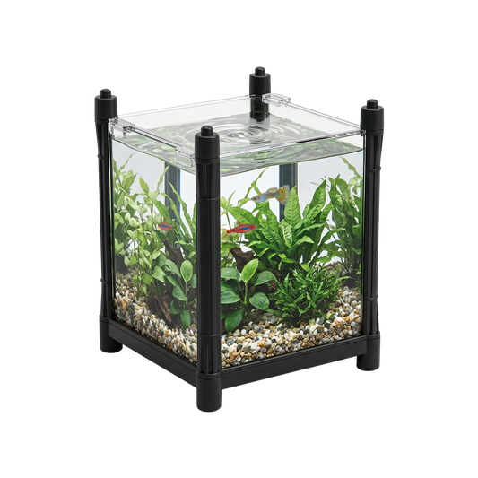 Dophin Plastic Mini Tank T-102