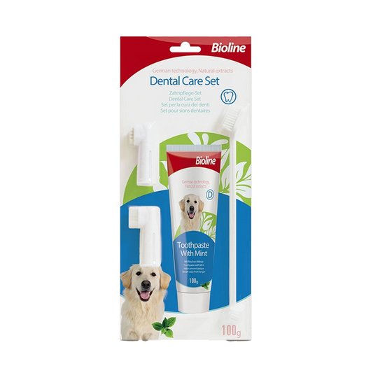 Toothpaste With Mint flavor