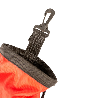 Treat pouch