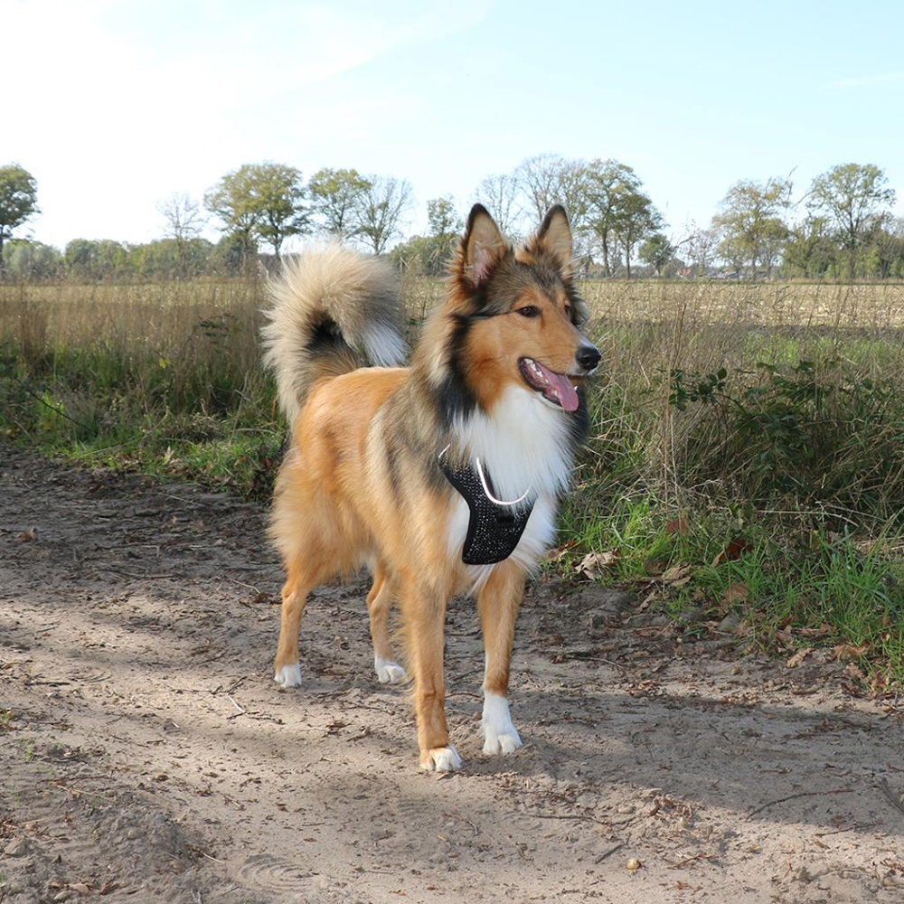 Ultimate Fit No-Pull harness Fashion
