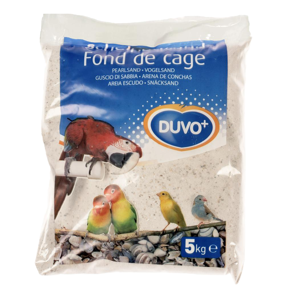 White Shellsand