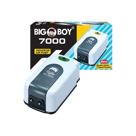 Big Boy Air Pump
