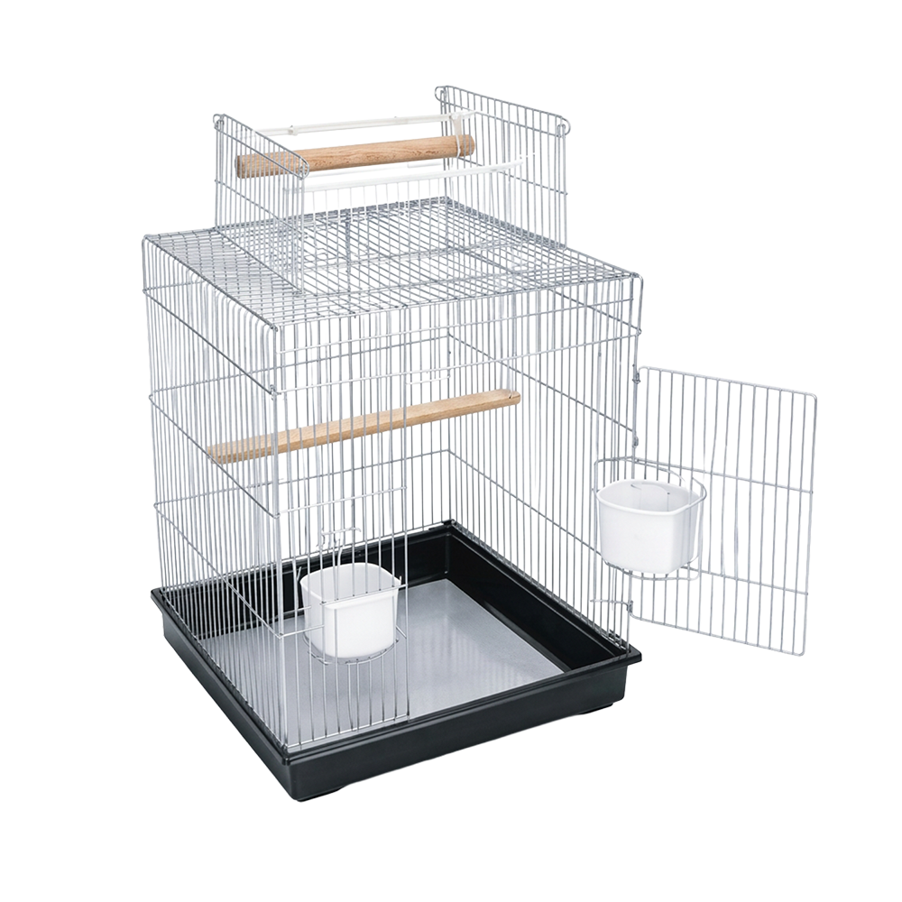 Birds Cage