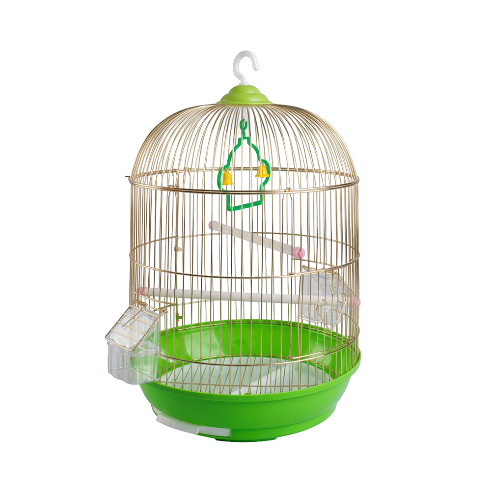 Birds Cage