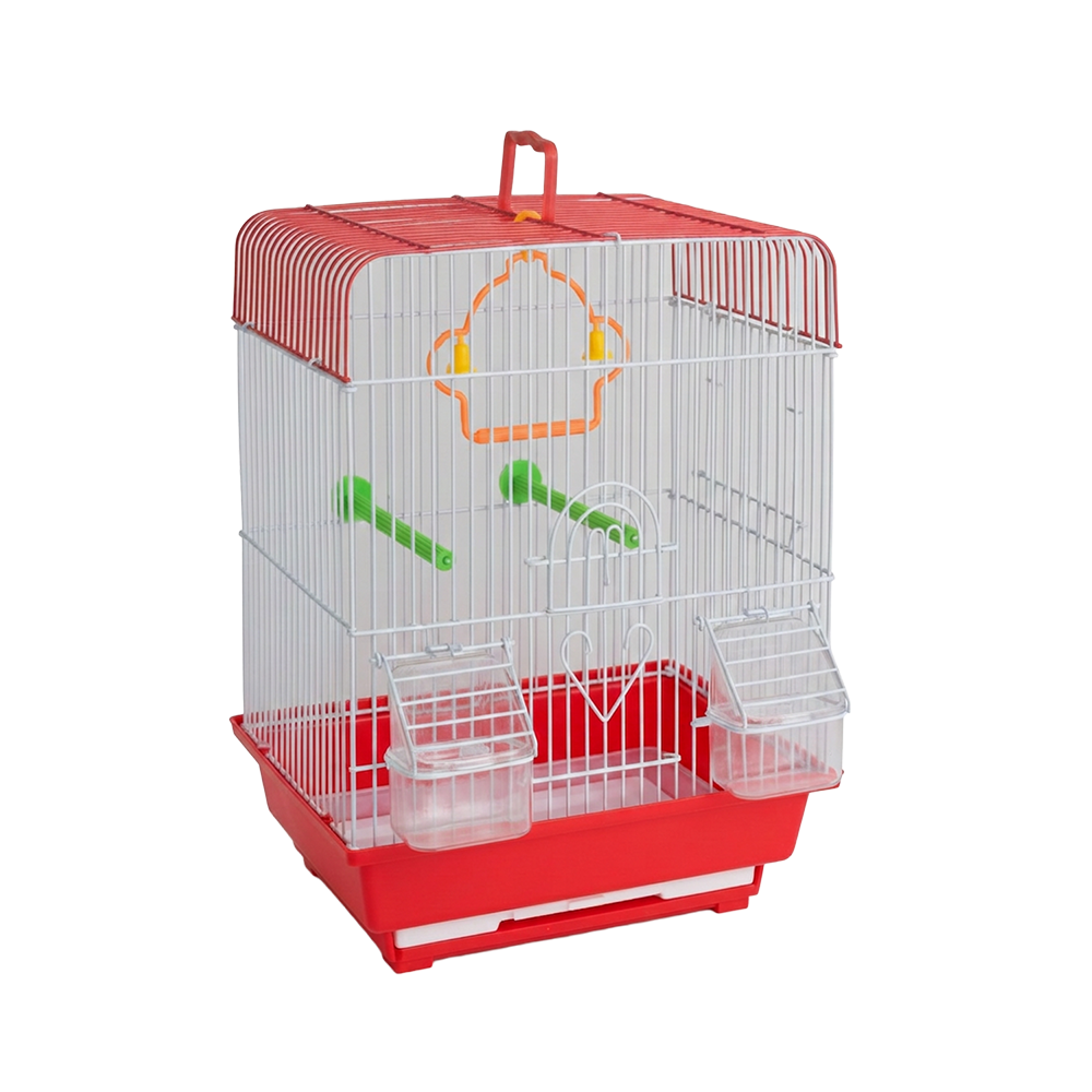 Birds Cage