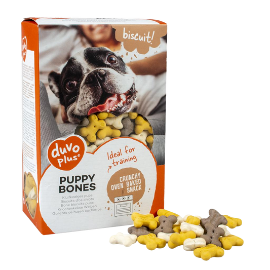 biscuit! Puppy bones
