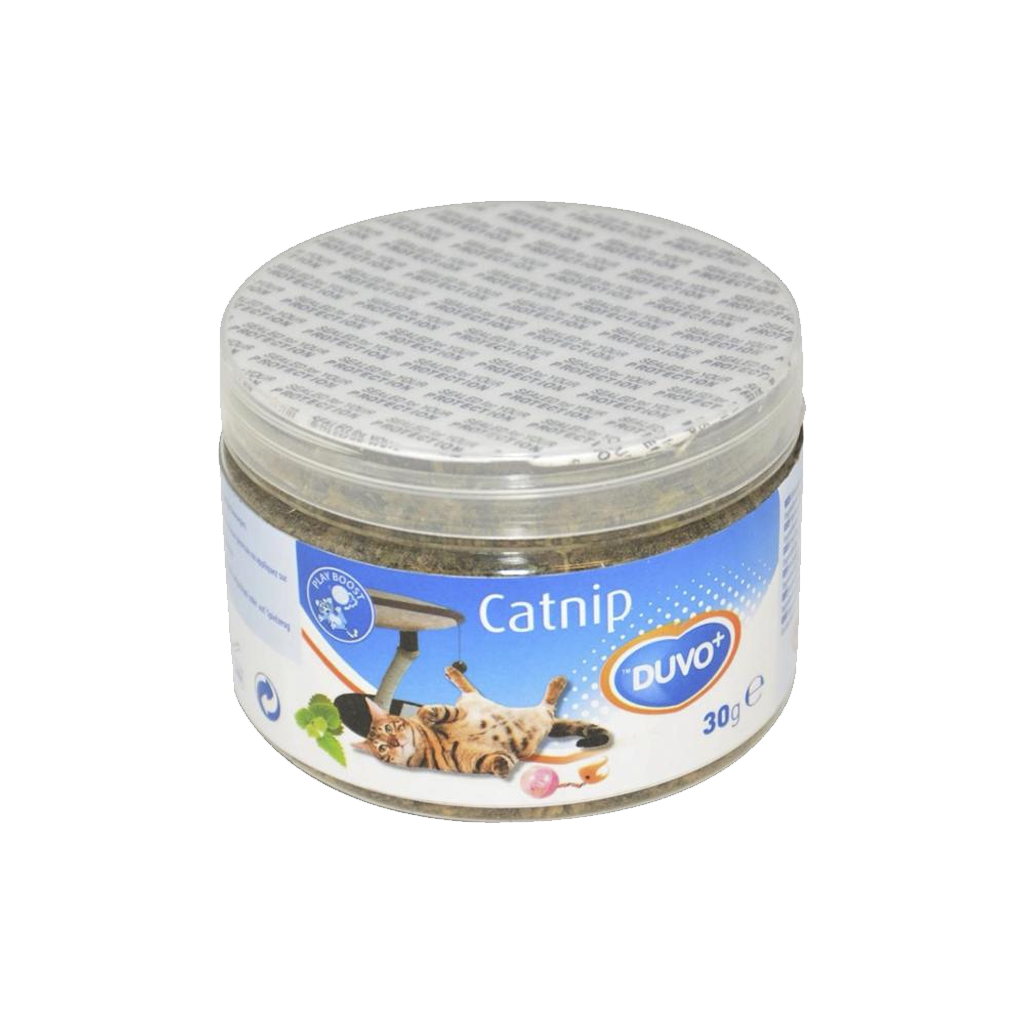 Catnip