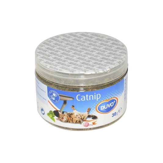 Catnip