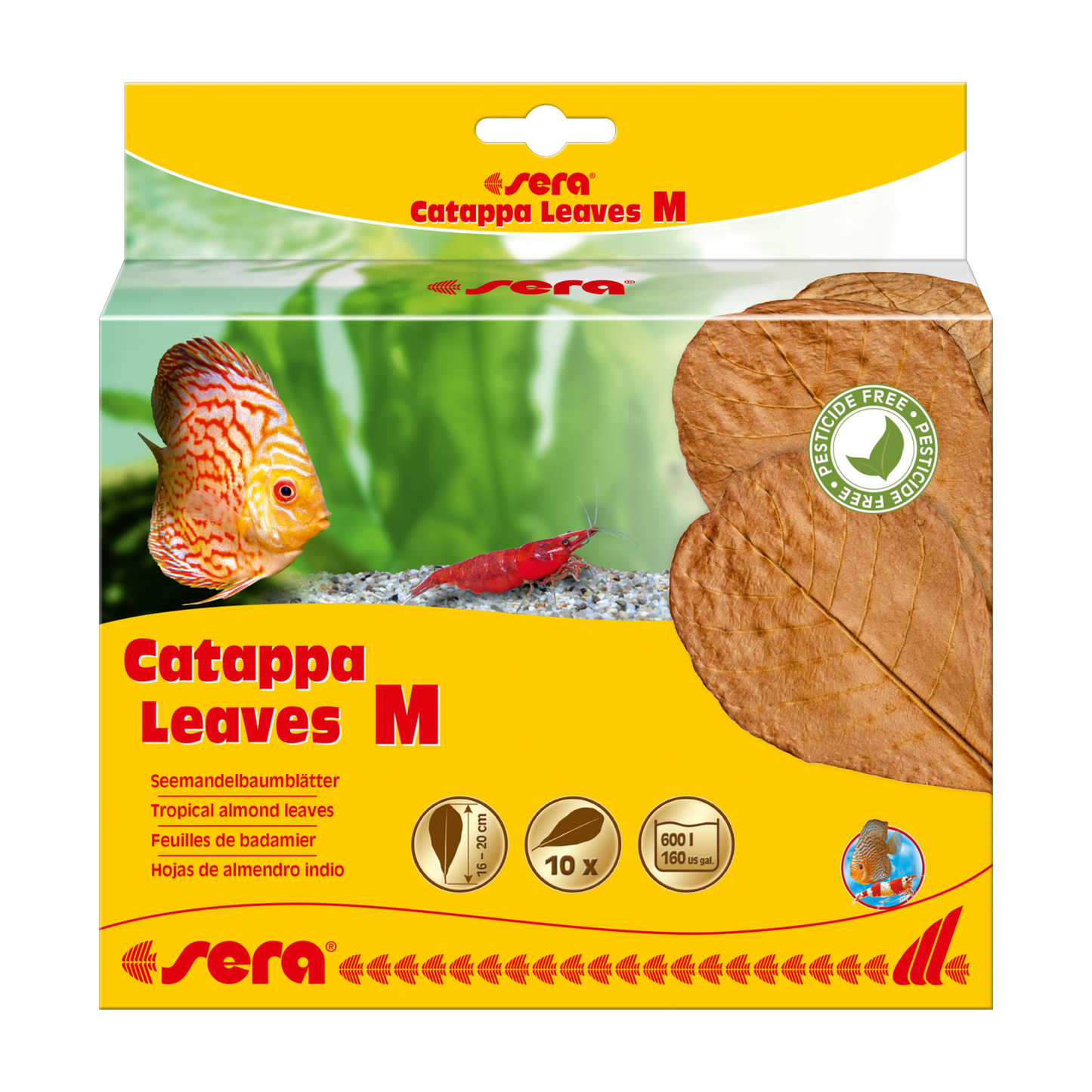 sera Catappa Leaves