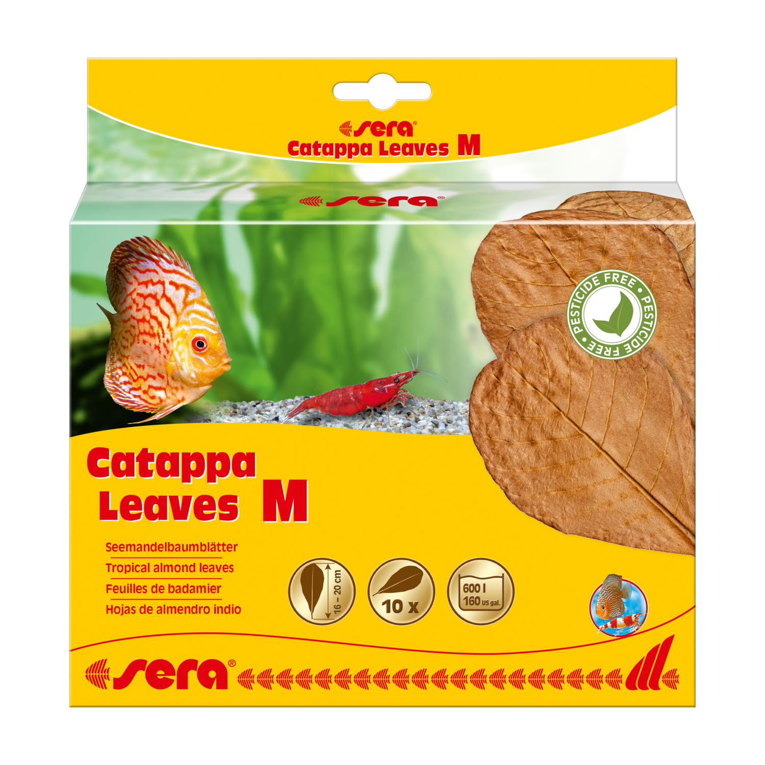 sera Catappa Leaves