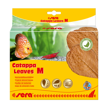 sera Catappa Leaves