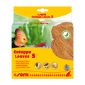 sera Catappa Leaves