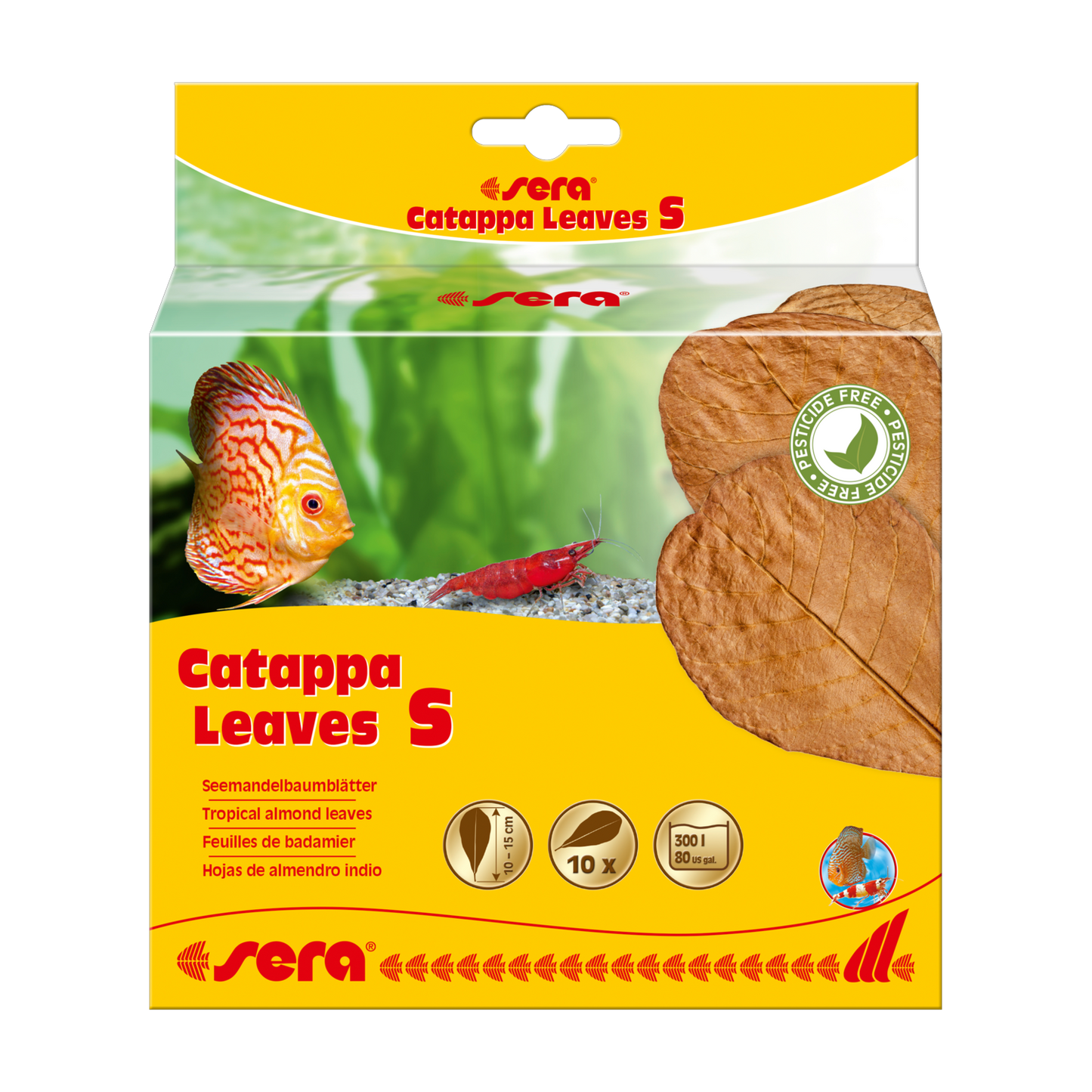 sera Catappa Leaves