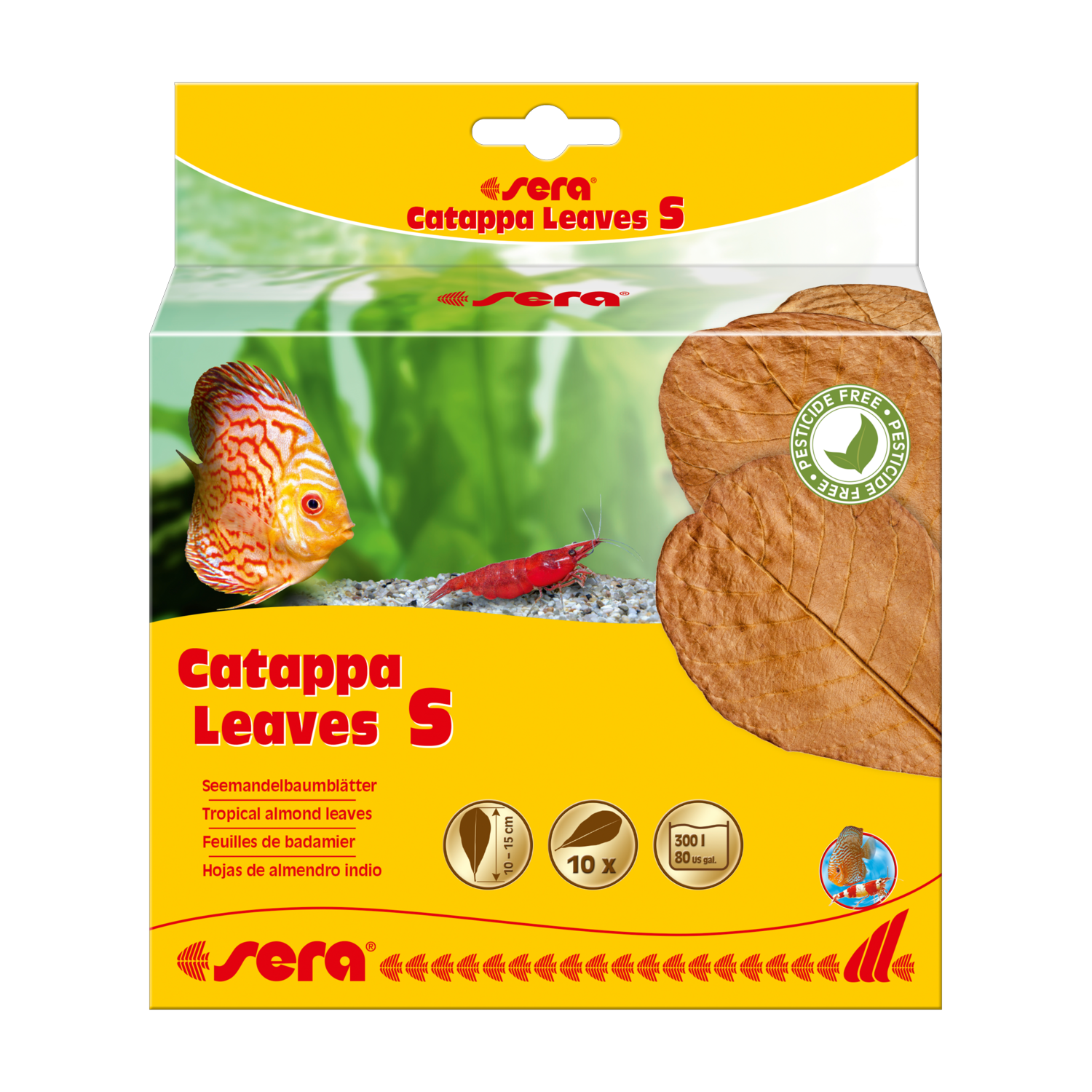 sera Catappa Leaves