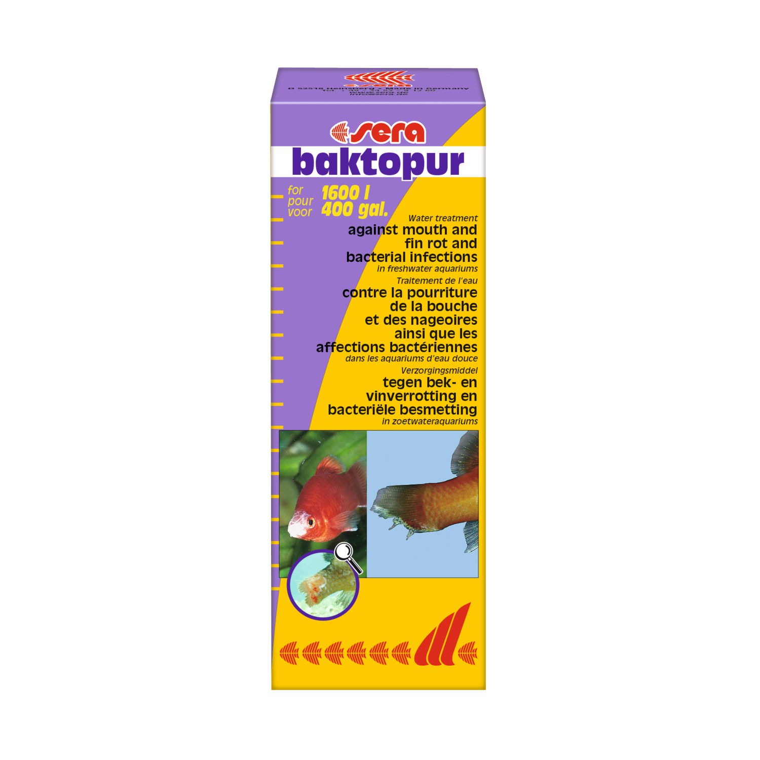 sera baktopur