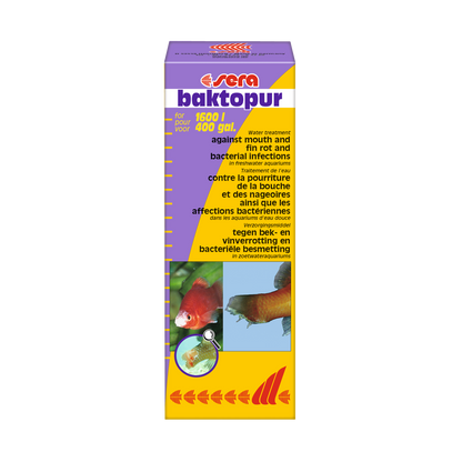 sera baktopur