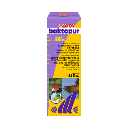 sera baktopur