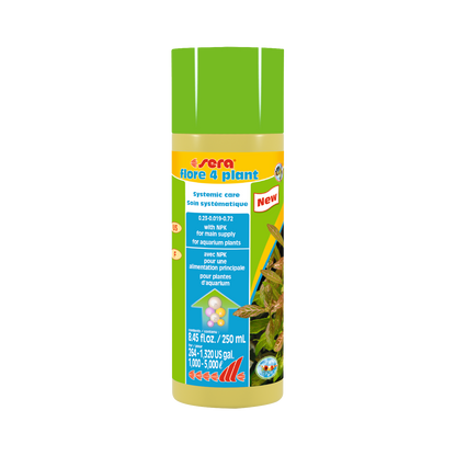 sera flore 4 plant